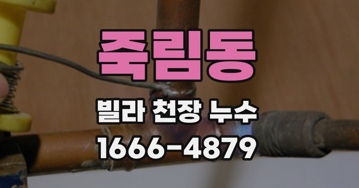 죽림동 빌라 천장 누수