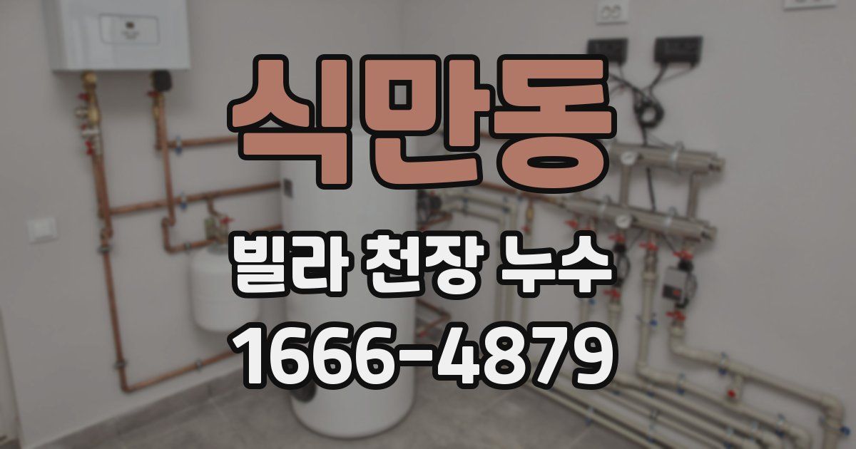 식만동 빌라 천장 누수