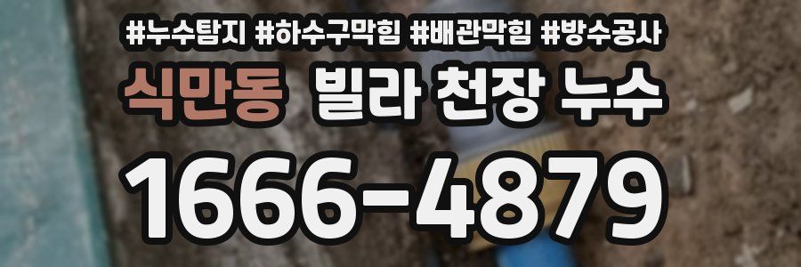 식만동 빌라 천장 누수