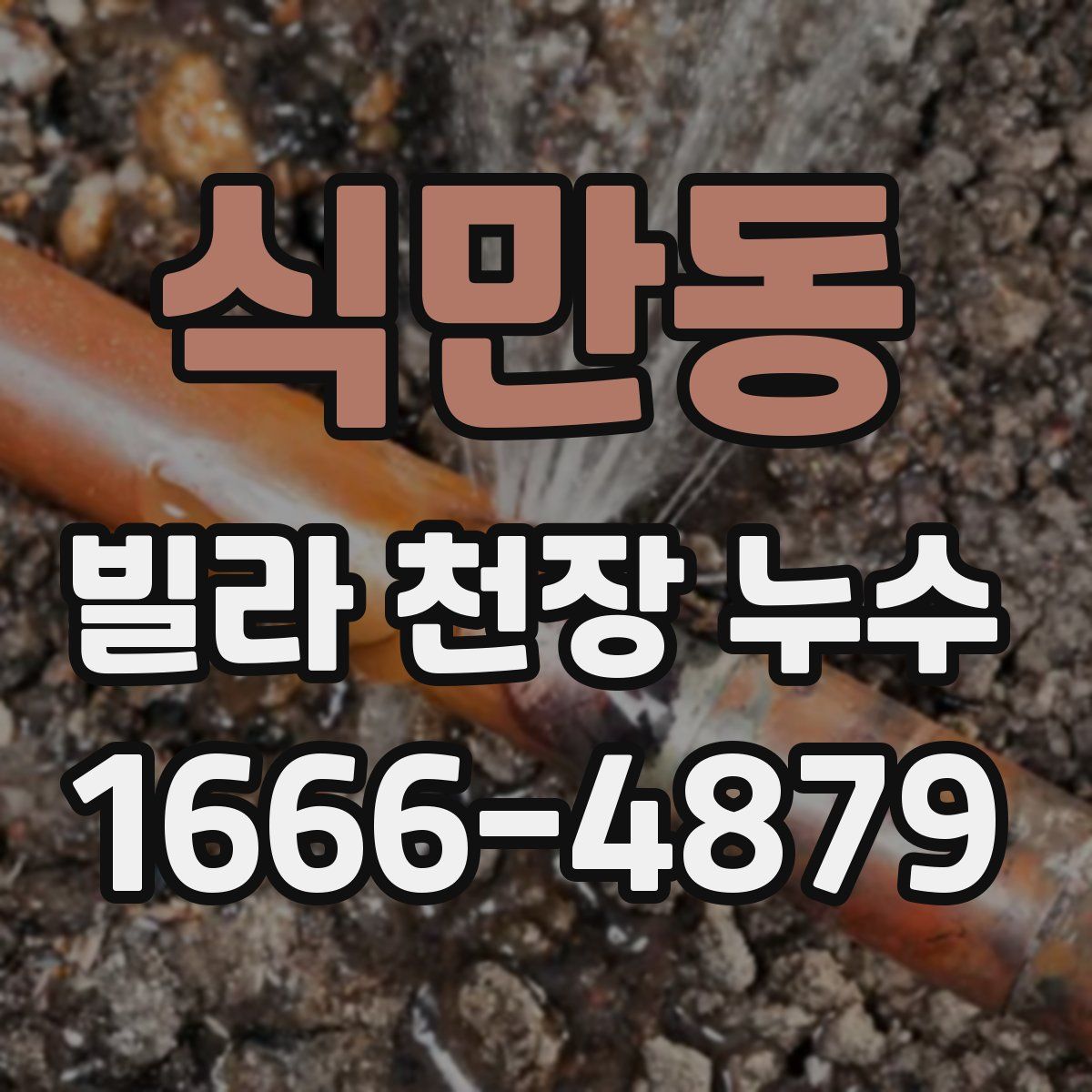 식만동 빌라 천장 누수
