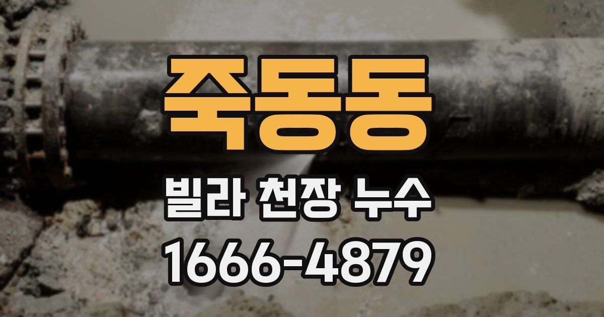 죽동동 빌라 천장 누수