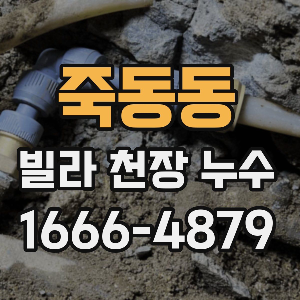 죽동동 빌라 천장 누수