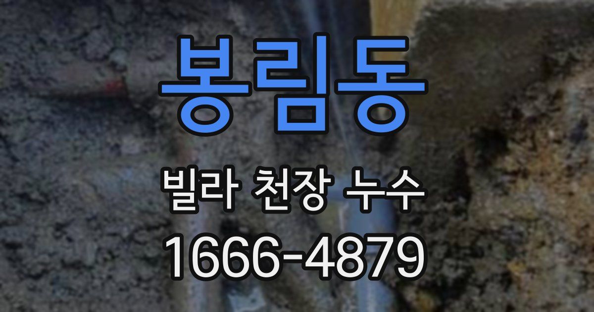 봉림동 빌라 천장 누수
