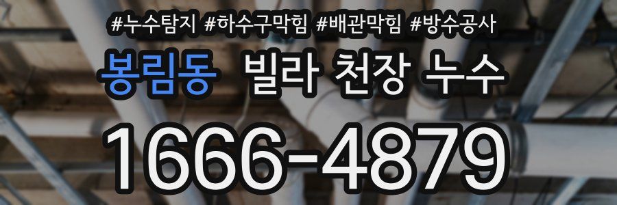 봉림동 빌라 천장 누수