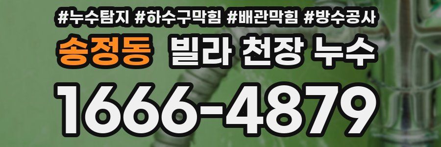 송정동 빌라 천장 누수