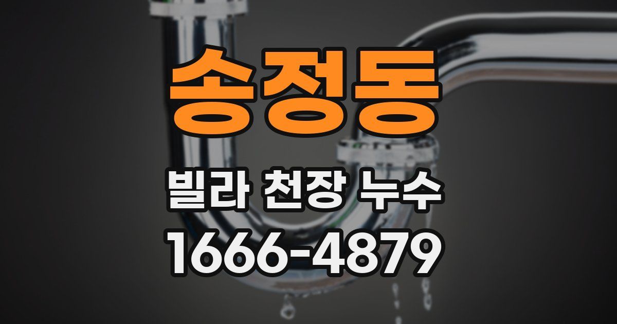 송정동 빌라 천장 누수
