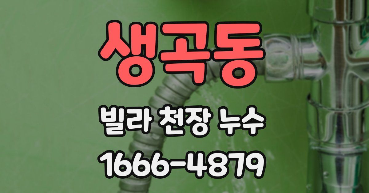 생곡동 빌라 천장 누수