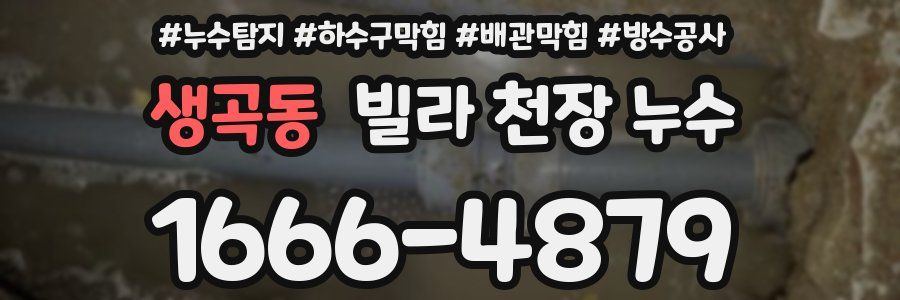 생곡동 빌라 천장 누수