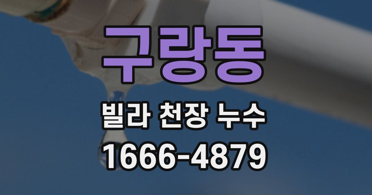구랑동 빌라 천장 누수