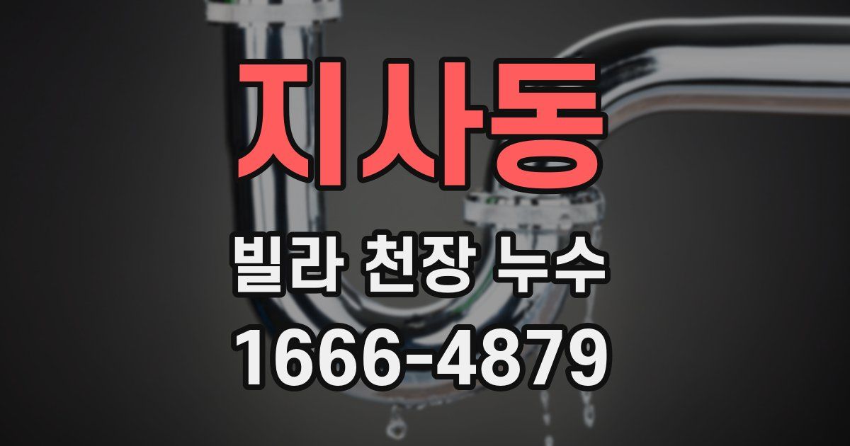 지사동 빌라 천장 누수