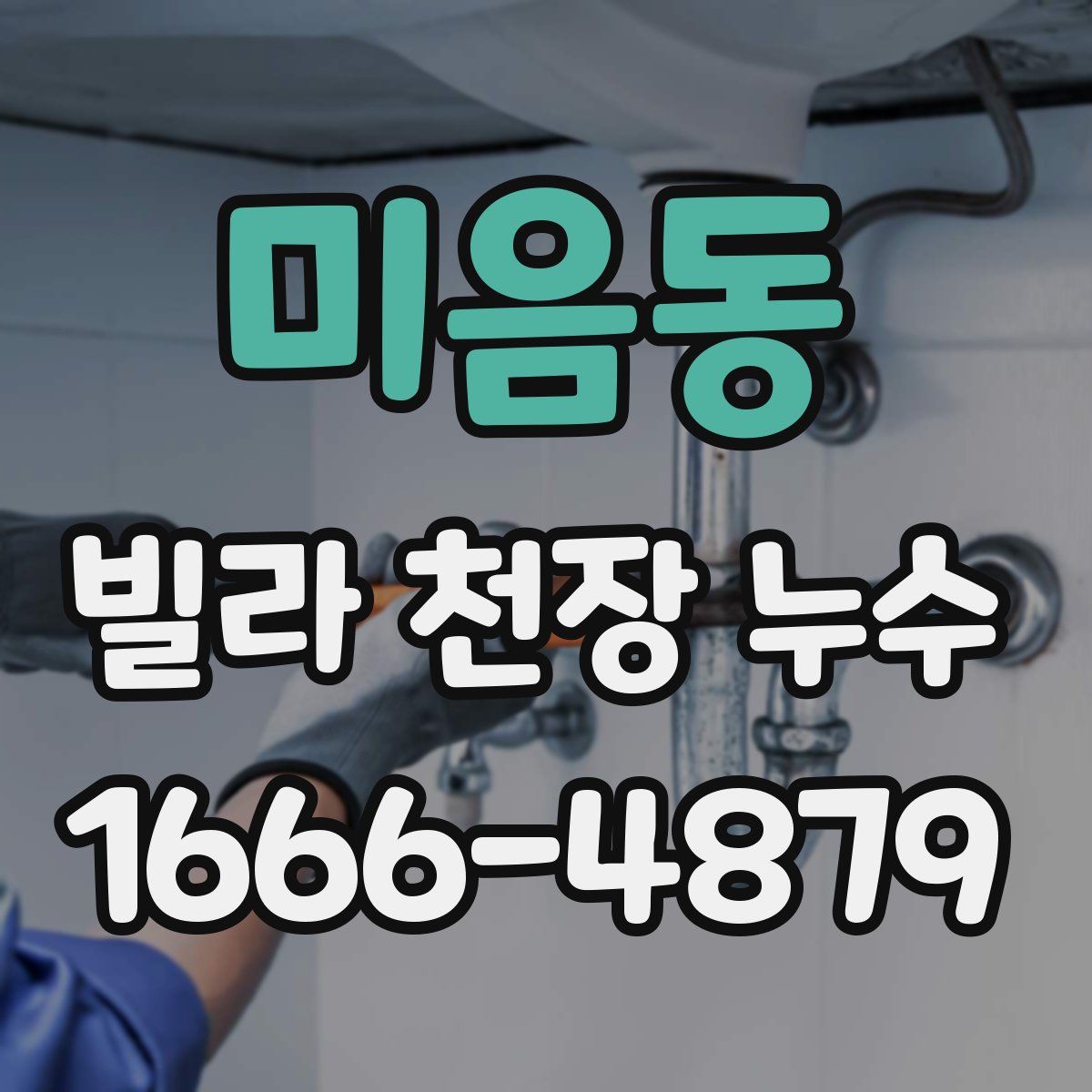 미음동 빌라 천장 누수