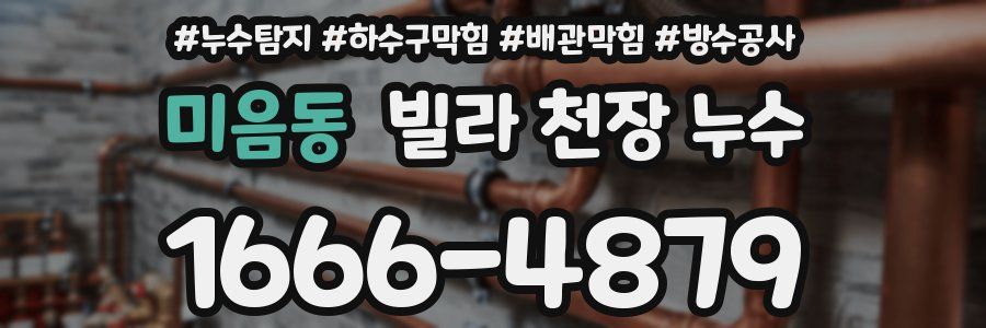 미음동 빌라 천장 누수