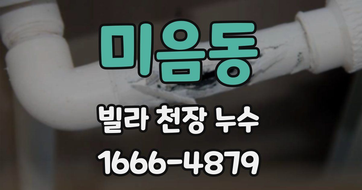 미음동 빌라 천장 누수