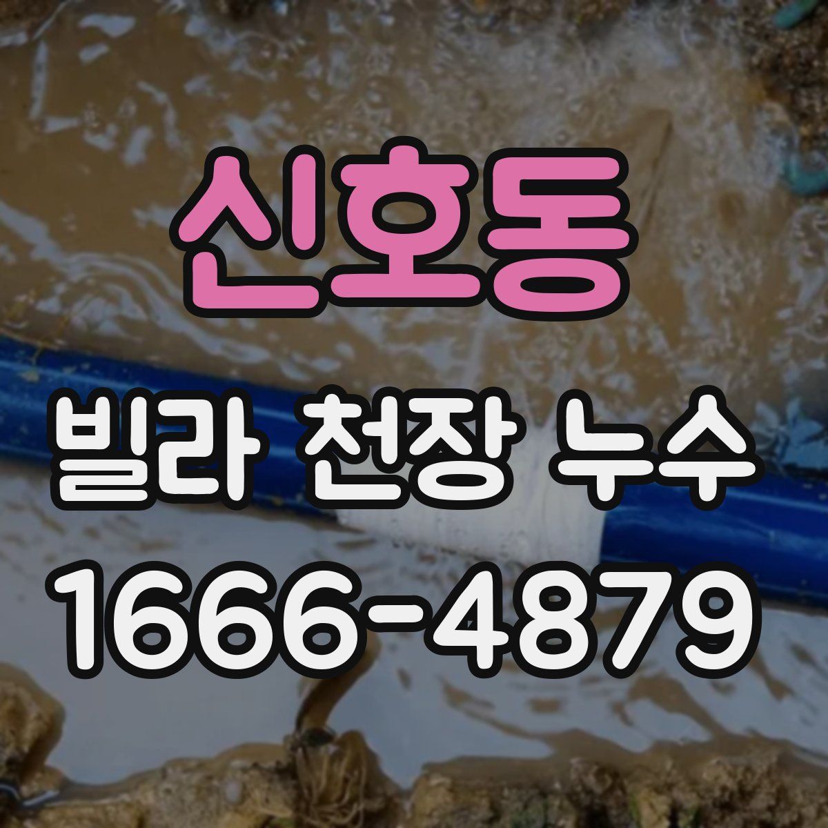신호동 빌라 천장 누수