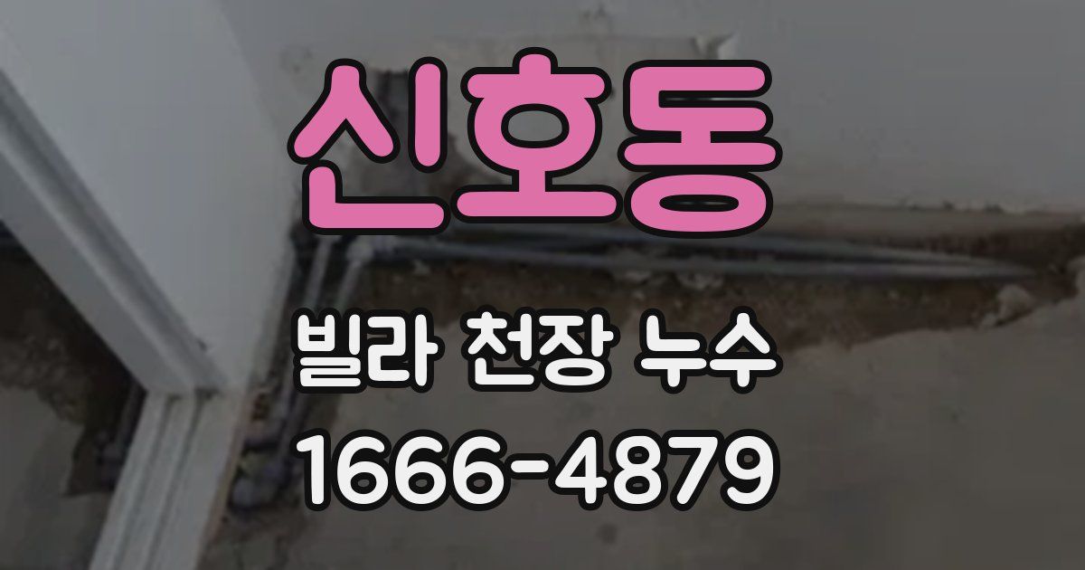 신호동 빌라 천장 누수