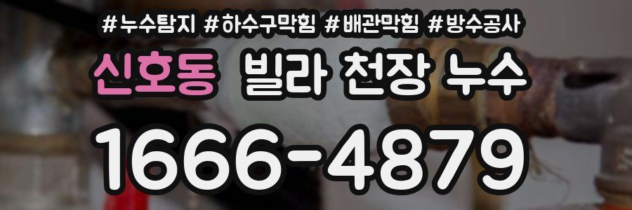 신호동 빌라 천장 누수