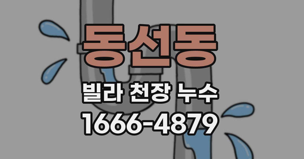 동선동 빌라 천장 누수