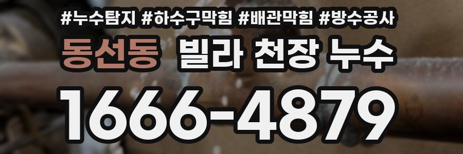 동선동 빌라 천장 누수