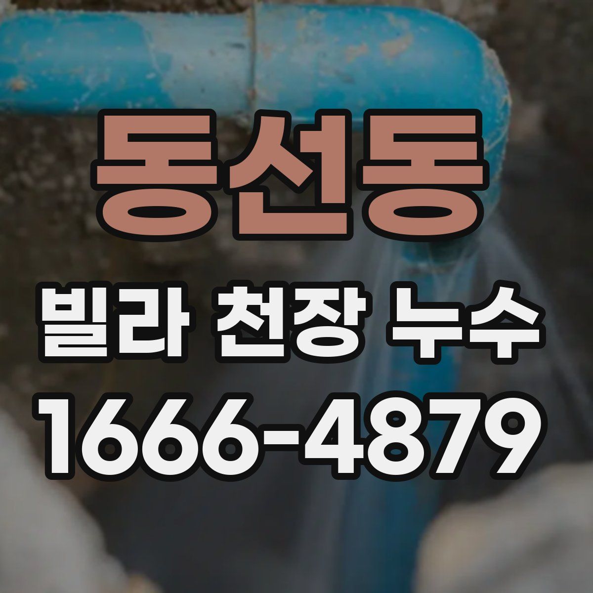 동선동 빌라 천장 누수
