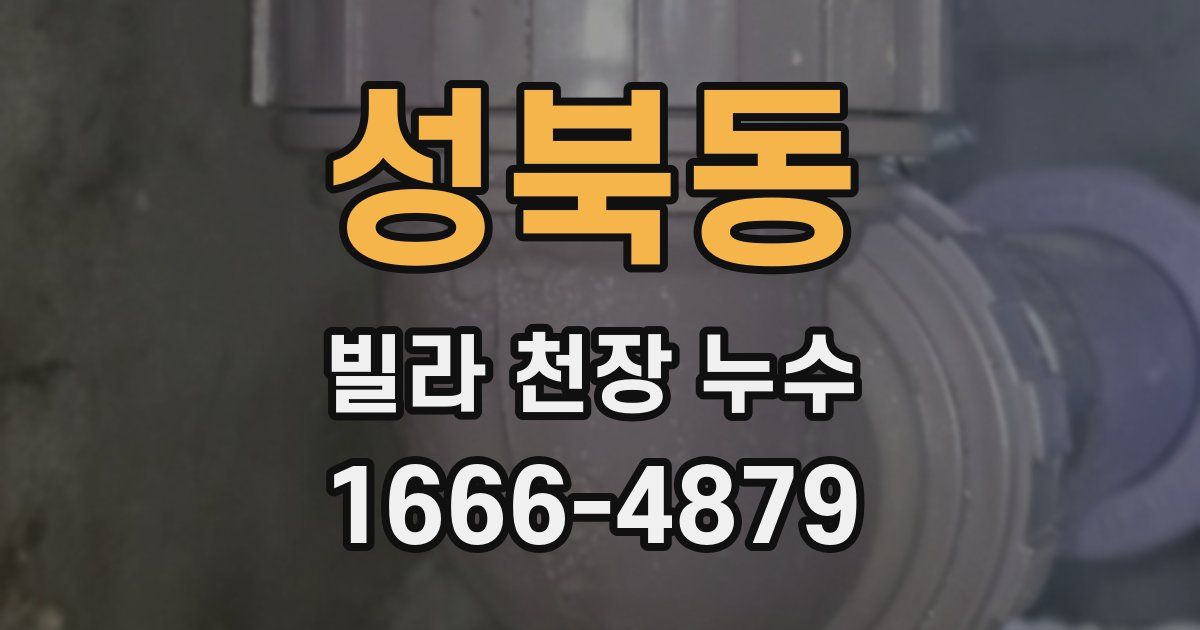 성북동 빌라 천장 누수