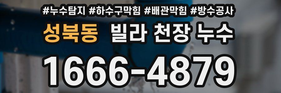 성북동 빌라 천장 누수