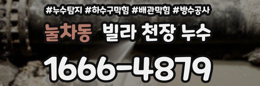 눌차동 빌라 천장 누수