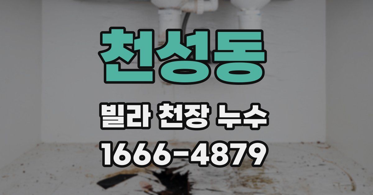 천성동 빌라 천장 누수