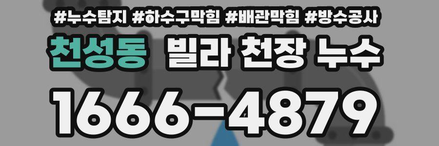 천성동 빌라 천장 누수