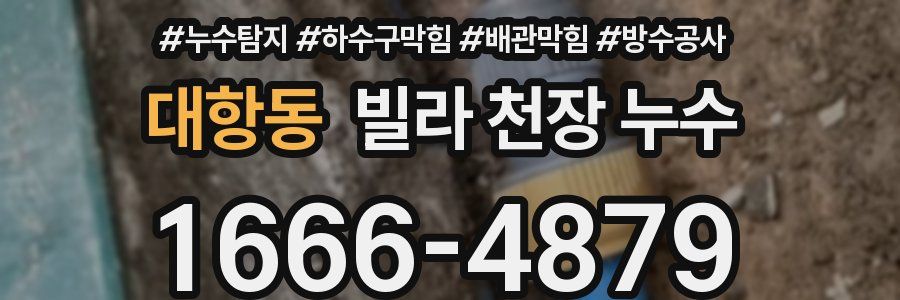 대항동 빌라 천장 누수