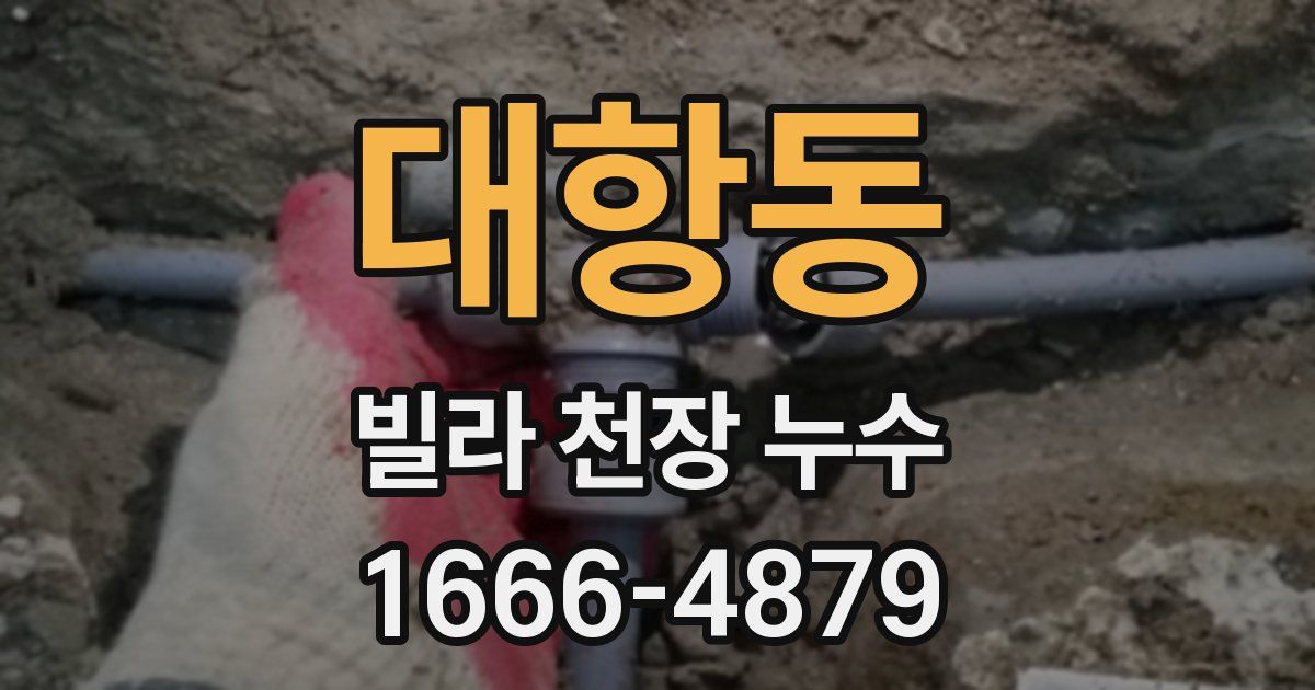 대항동 빌라 천장 누수
