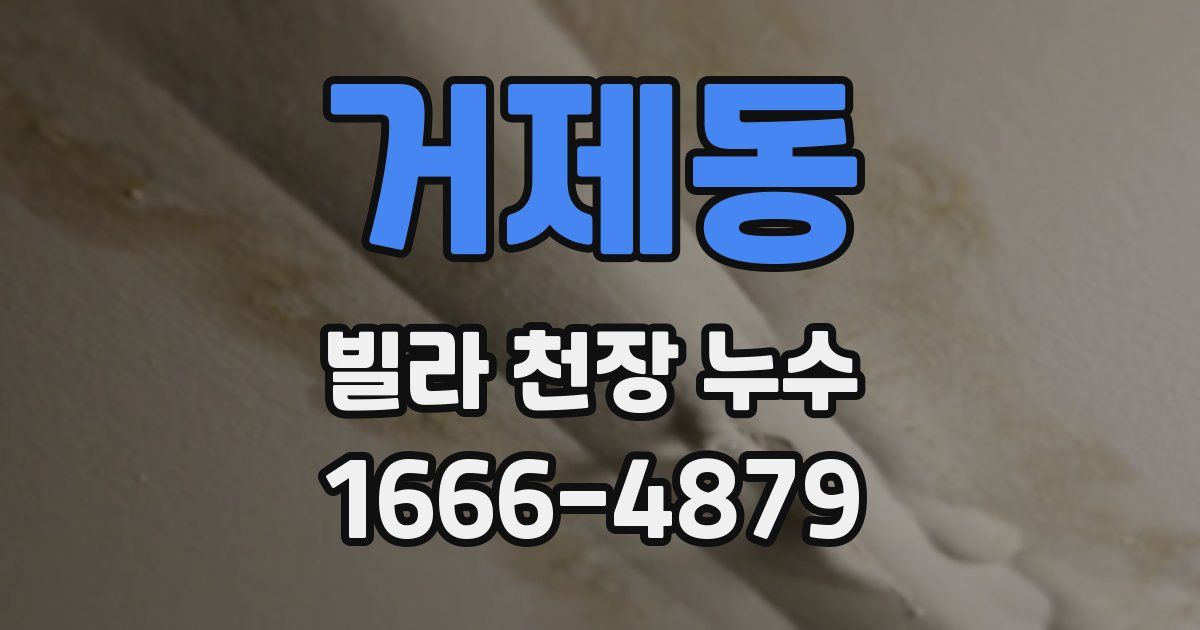 거제동 빌라 천장 누수