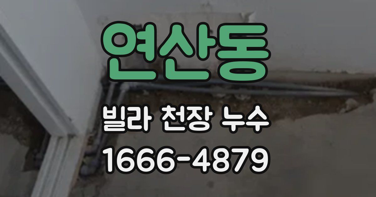 연산동 빌라 천장 누수