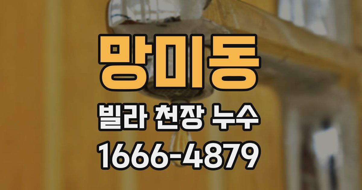 망미동 빌라 천장 누수