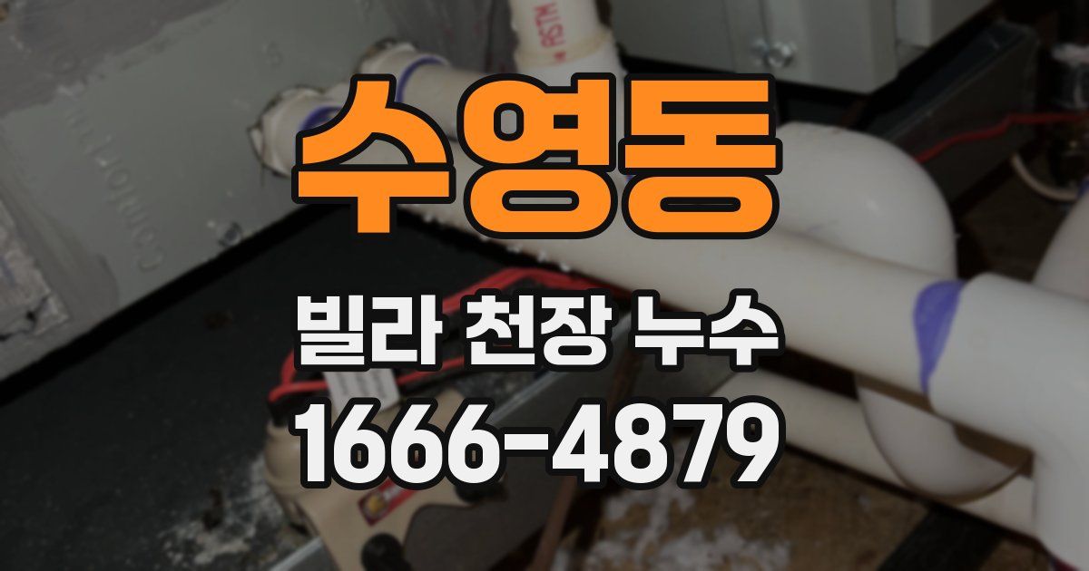 수영동 빌라 천장 누수