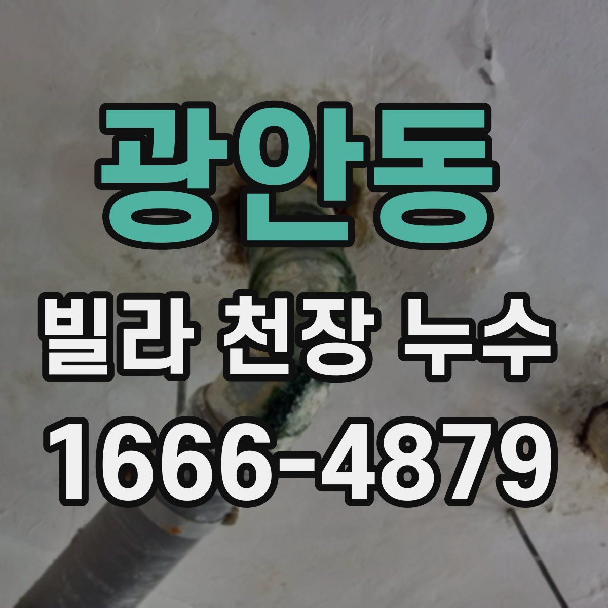 광안동 빌라 천장 누수