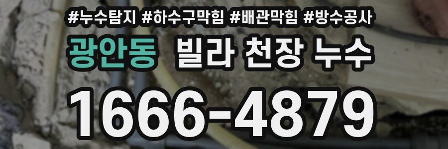 광안동 빌라 천장 누수