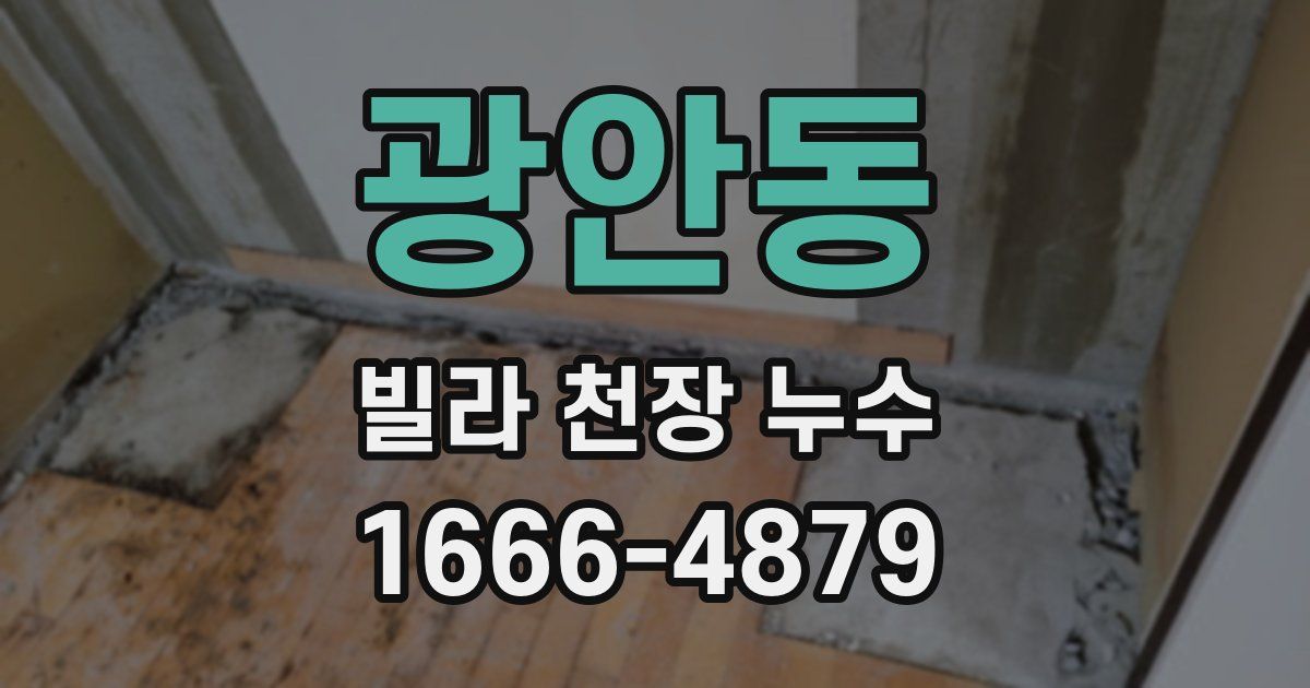 광안동 빌라 천장 누수