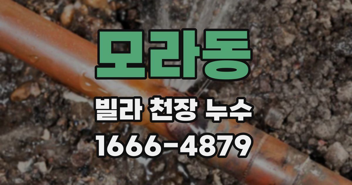 모라동 빌라 천장 누수