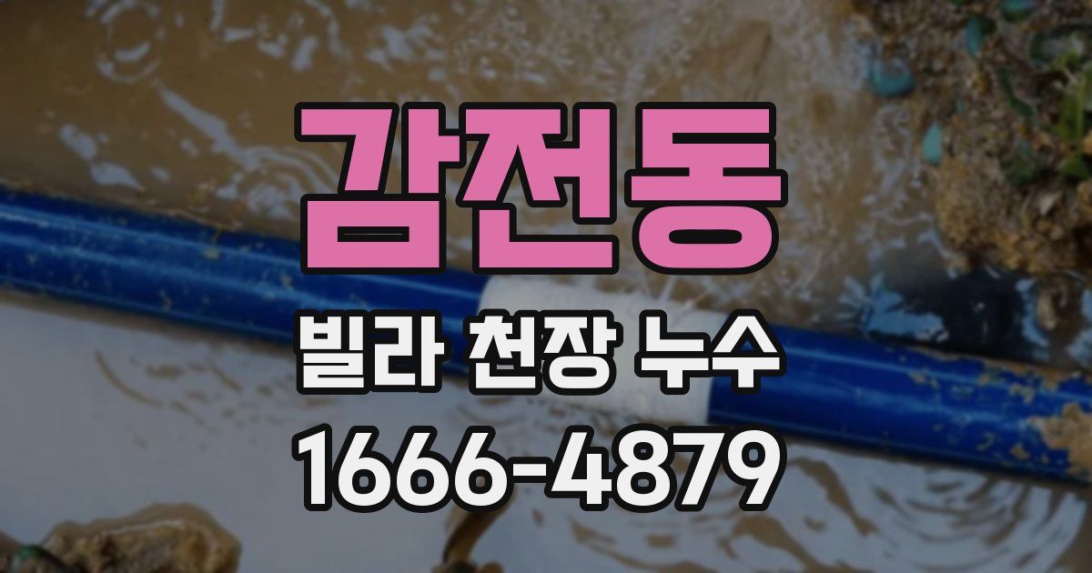 감전동 빌라 천장 누수
