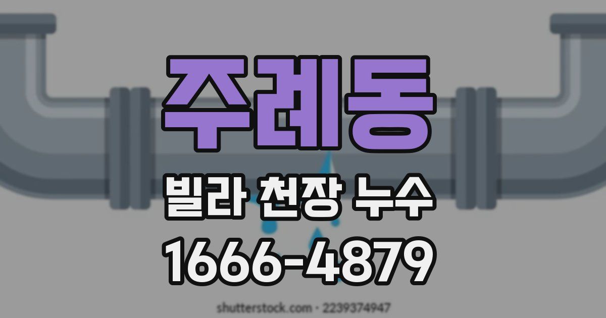 주례동 빌라 천장 누수