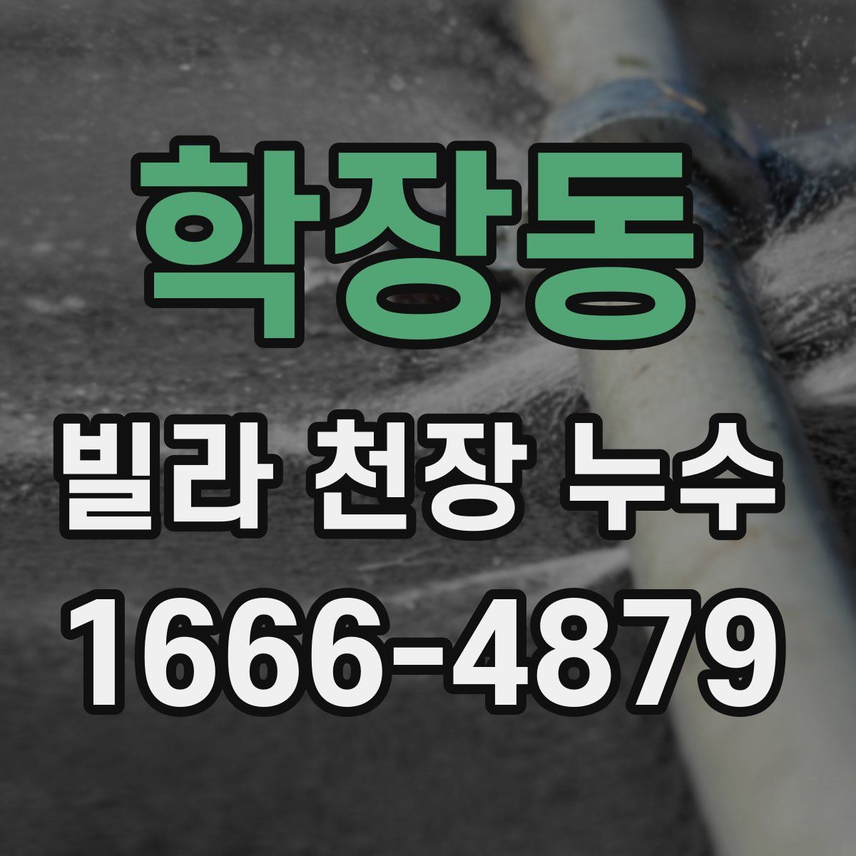 학장동 빌라 천장 누수