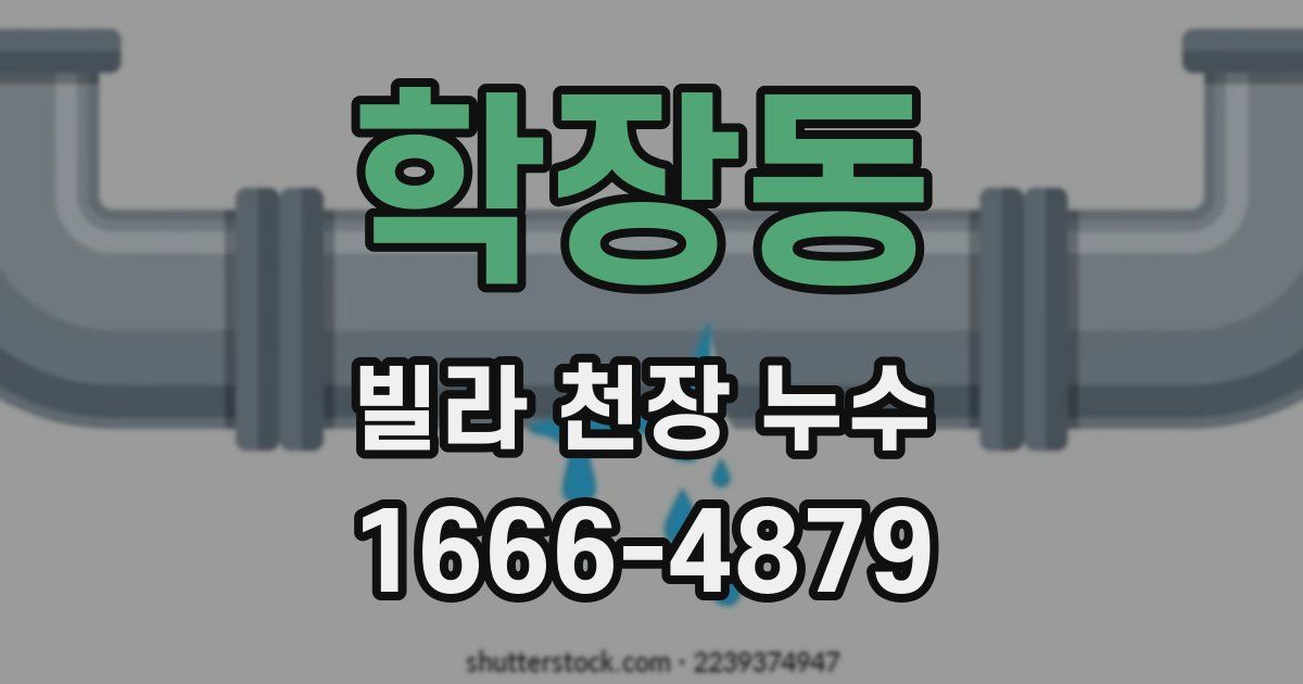 학장동 빌라 천장 누수