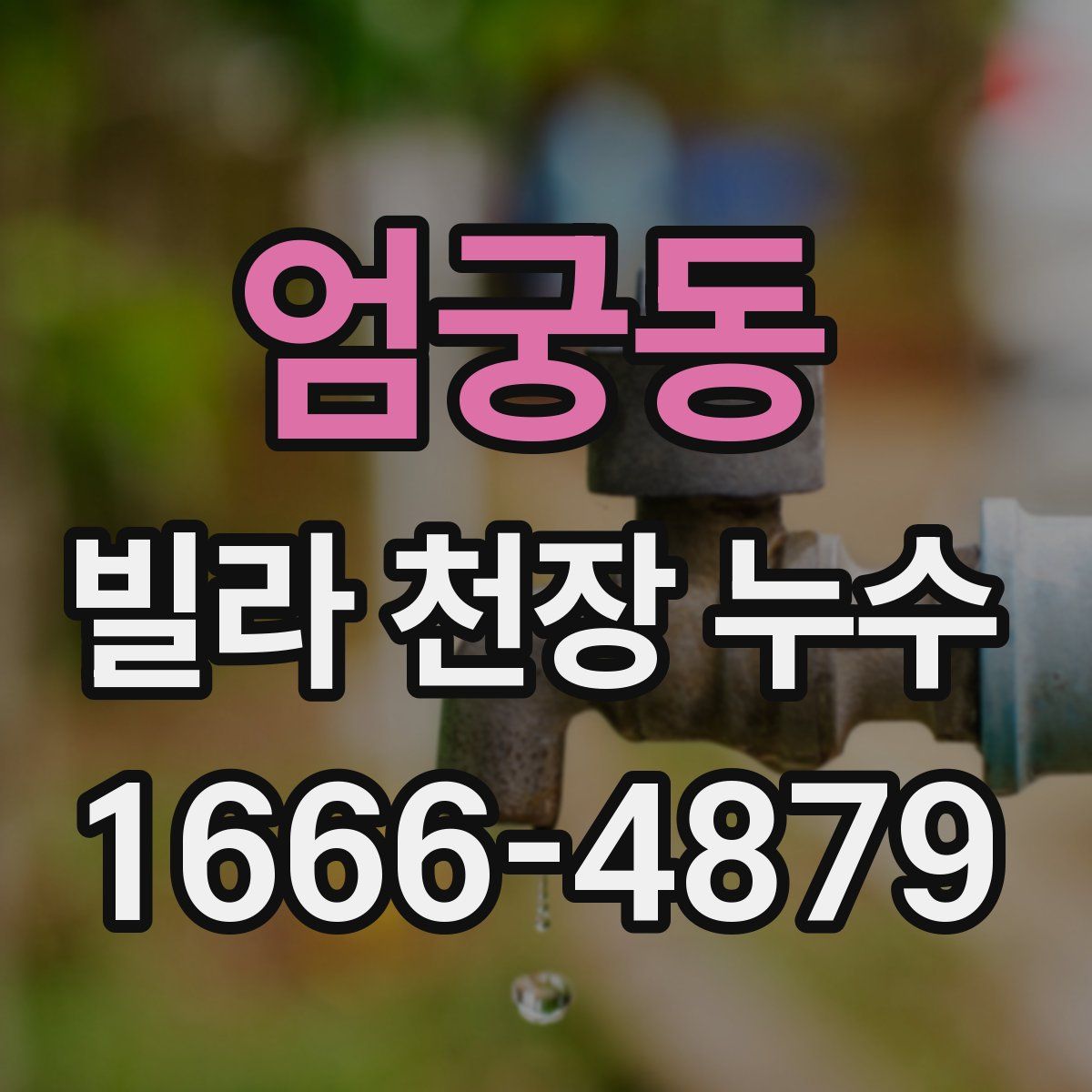 엄궁동 빌라 천장 누수