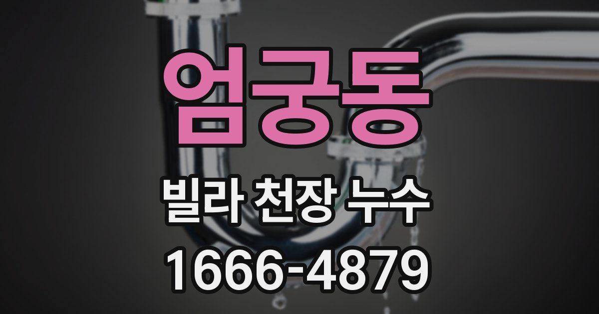 엄궁동 빌라 천장 누수