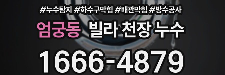 엄궁동 빌라 천장 누수