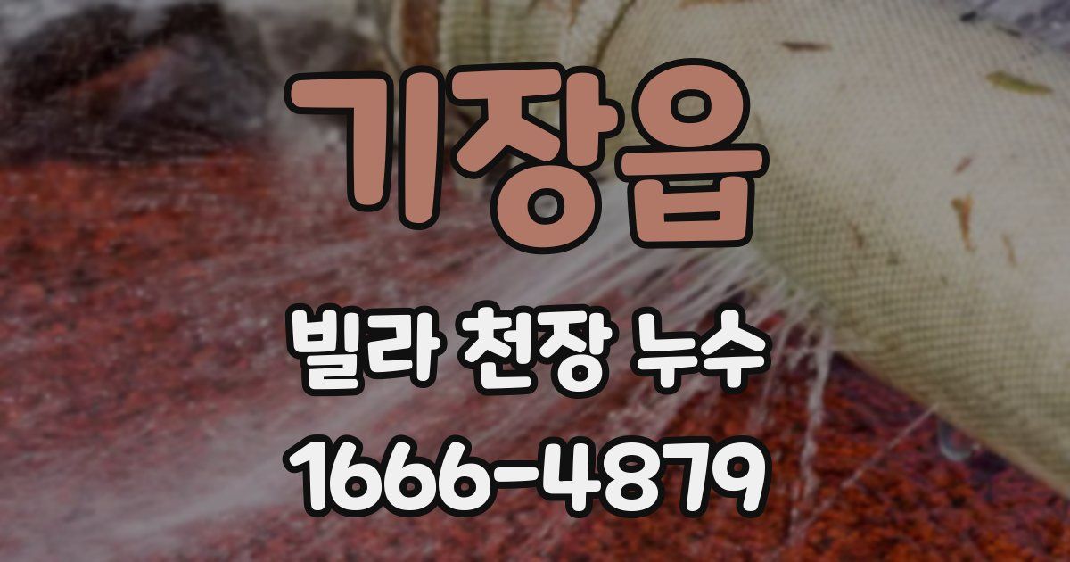 기장읍 빌라 천장 누수