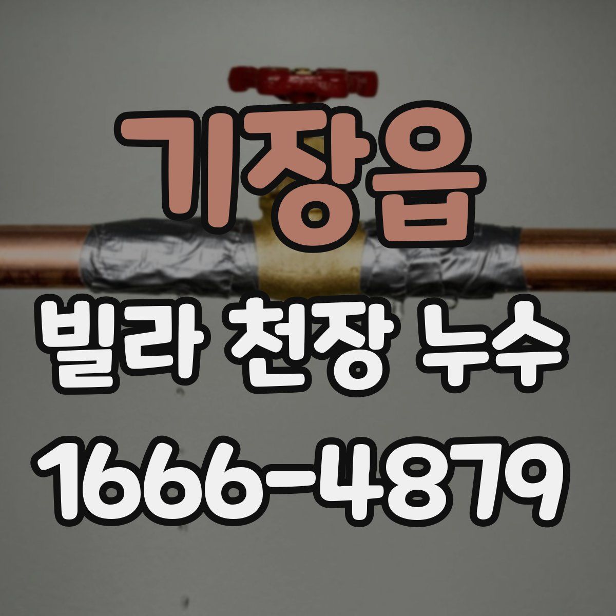 기장읍 빌라 천장 누수