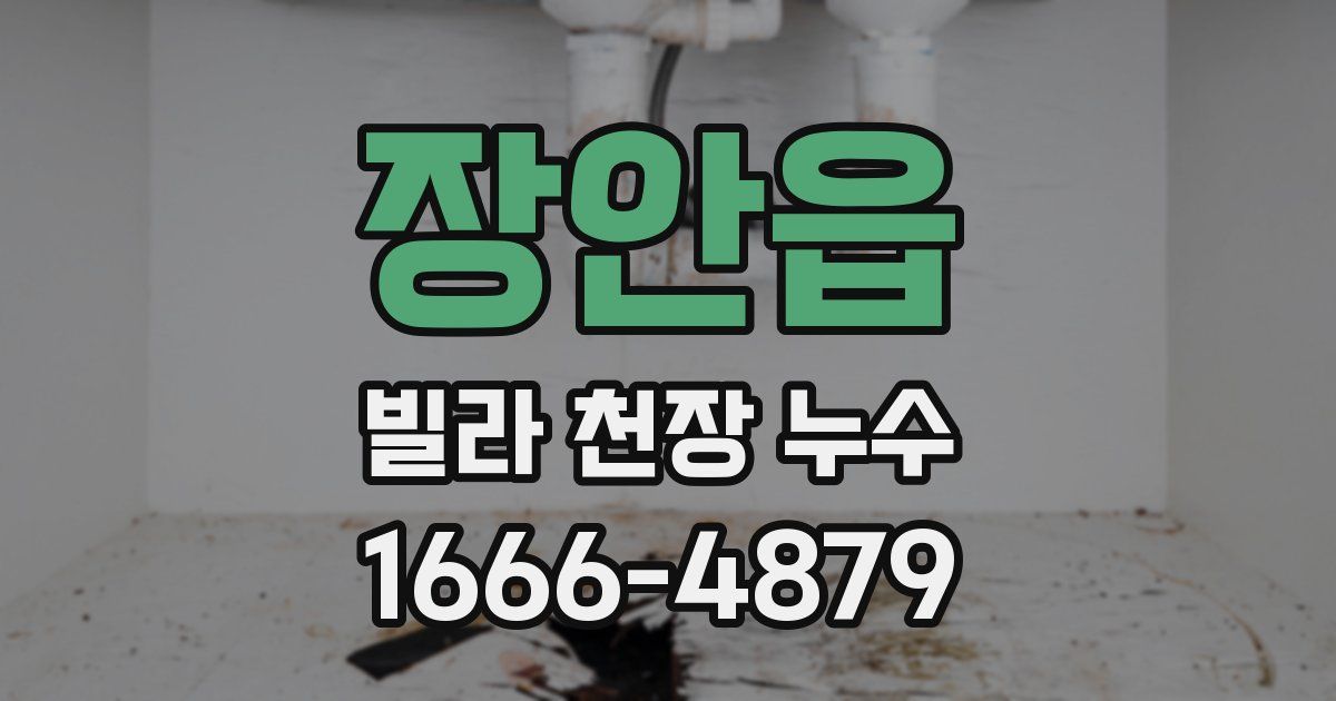 장안읍 빌라 천장 누수