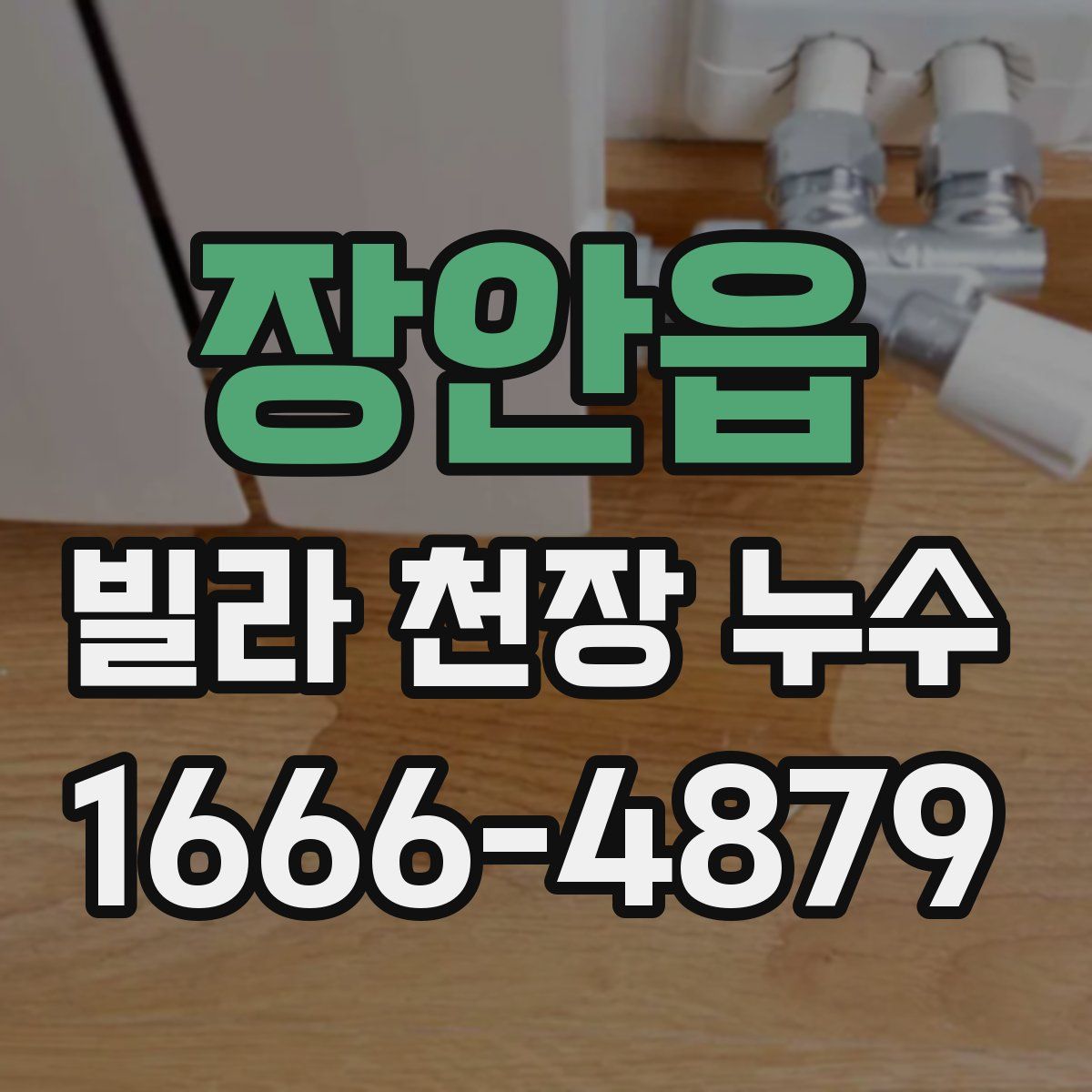 장안읍 빌라 천장 누수