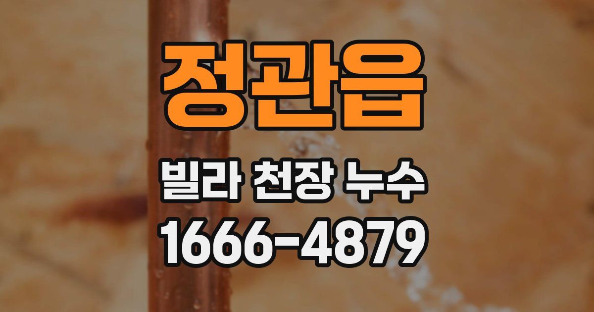 정관읍 빌라 천장 누수